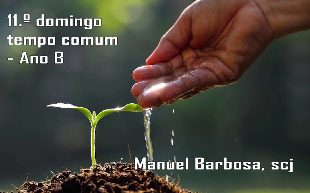 Ano B – 11.º Domingo do Tempo Comum – Dehonianos