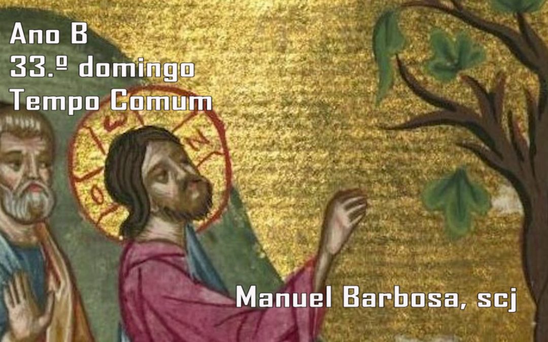 Ano B – 33.º Domingo do Tempo Comum – Dehonianos