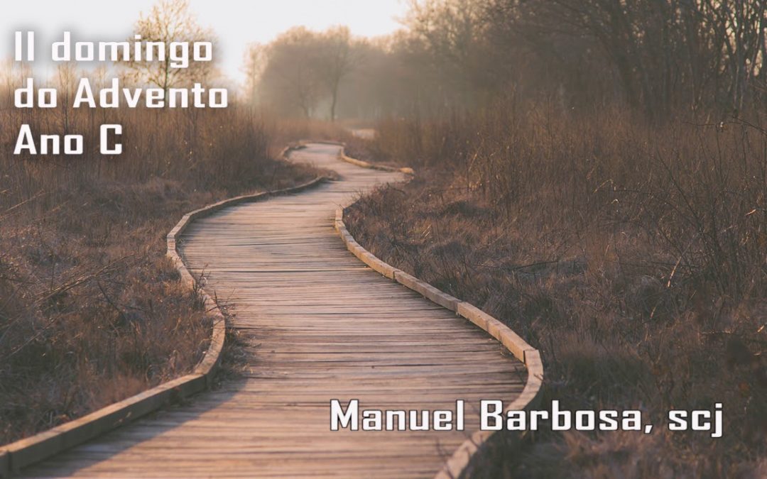 Ano C – 02.º Domingo do Advento – Dehonianos