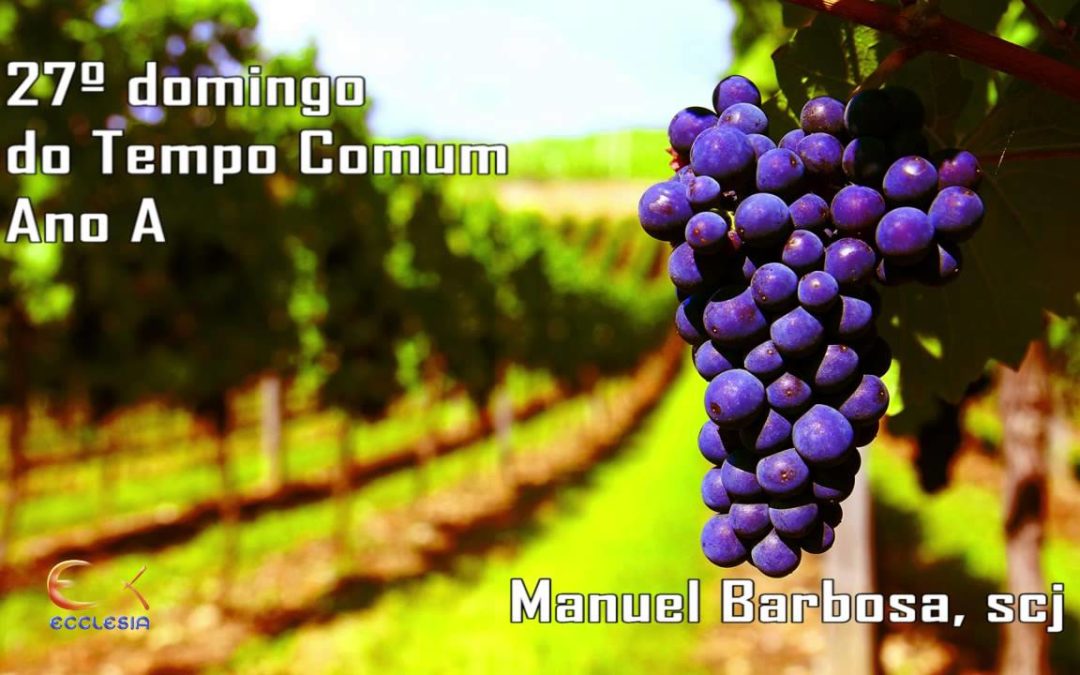Ano A – 27.º Domingo do Tempo Comum – Dehonianos