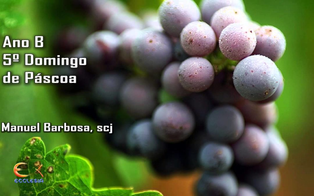 Ano B – 05.º Domingo da Páscoa – Dehonianos