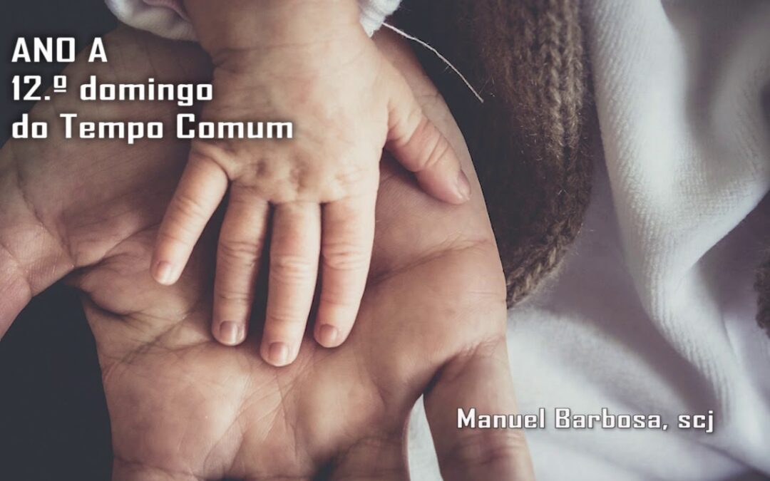 Ano A – 12.º Domingo do tempo comum – Dehonianos