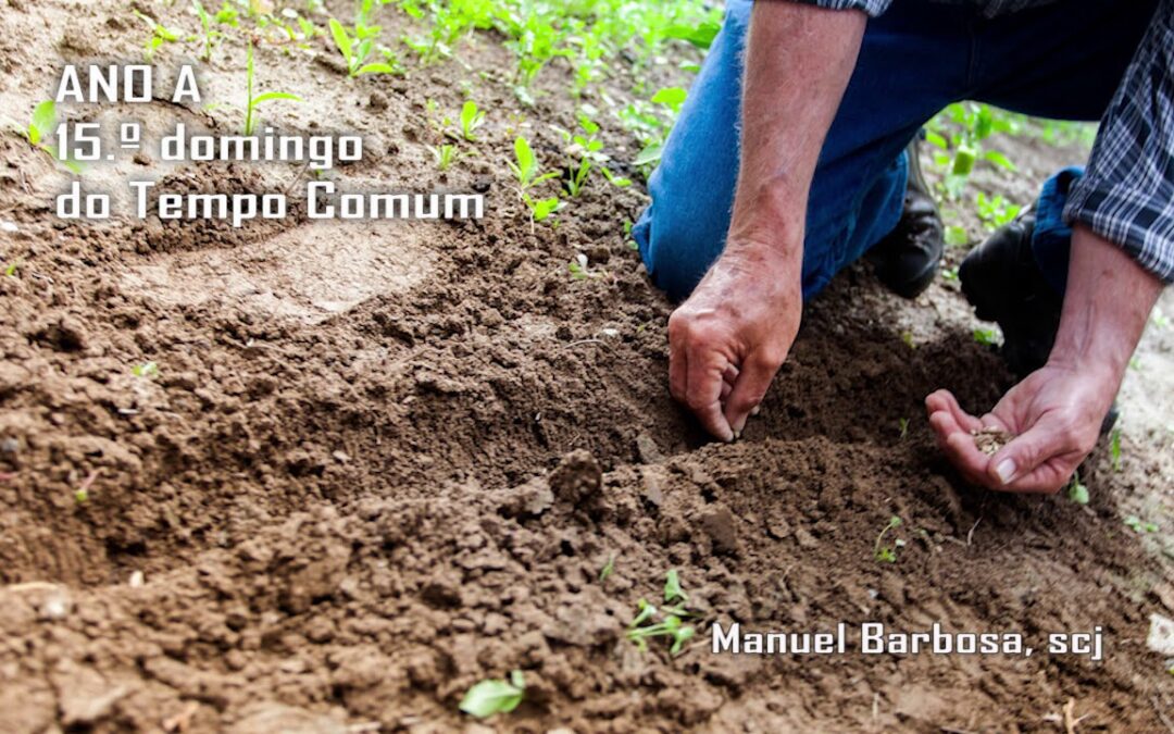Ano A – 15.º Domingo do tempo comum – Dehonianos