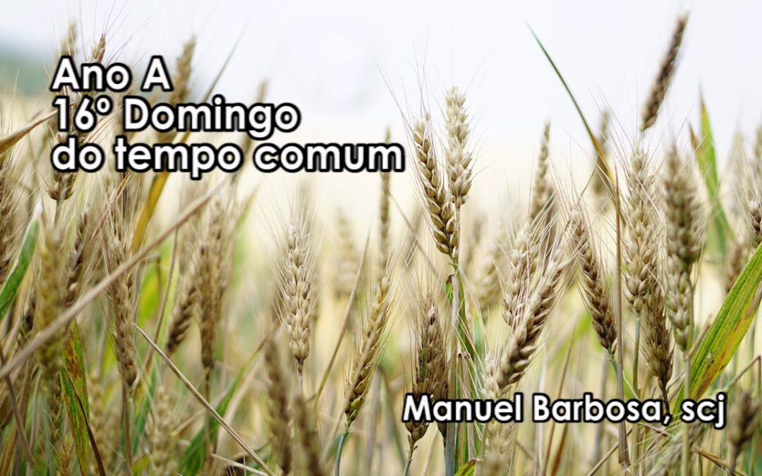 Ano A – 16.º Domingo do tempo comum – Dehonianos