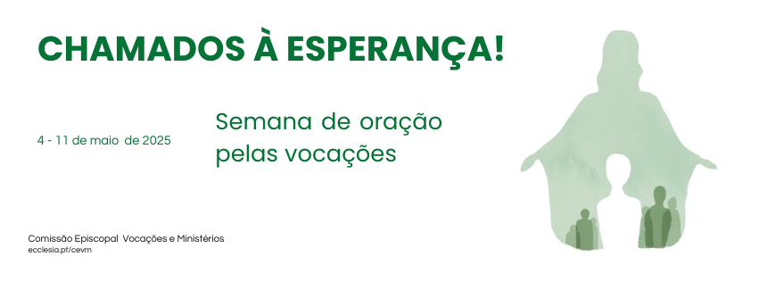 Capa facebook SOPV 25