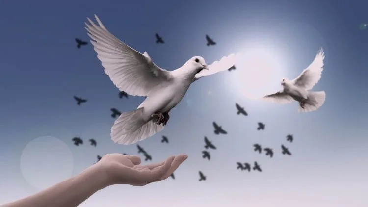 Dia Mundial da Paz 2019 1