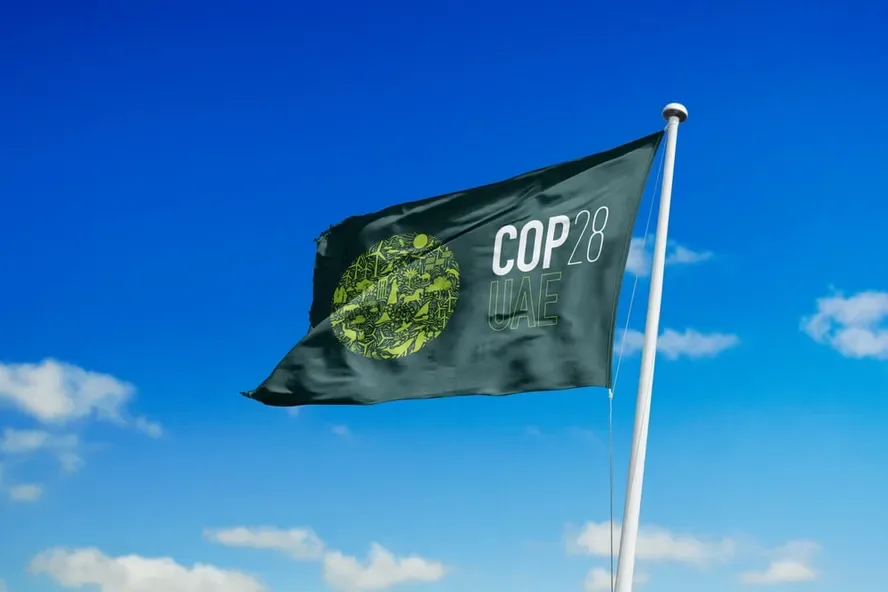 COP 28 VF