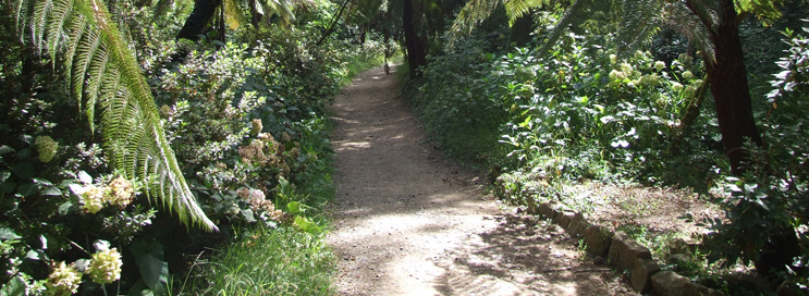 Jornal do Vaticano lembra pioneirismo do Buçaco na proteção da natureza