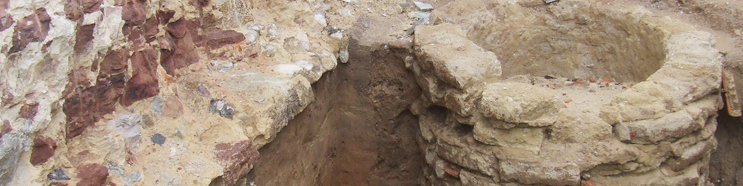 Património de Aveio maltratado