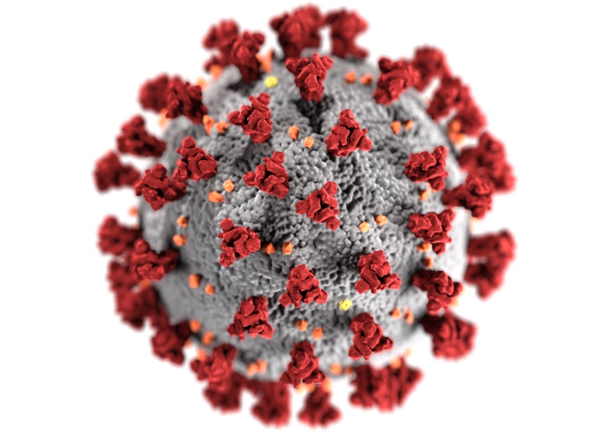 «Celebrar e viver a fé em tempo de pandemia», nota da CEP