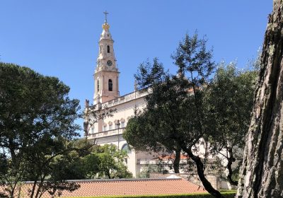 Opinião: «Cada pessoa pode mudar o curso da História», por Sérgio Carvalho