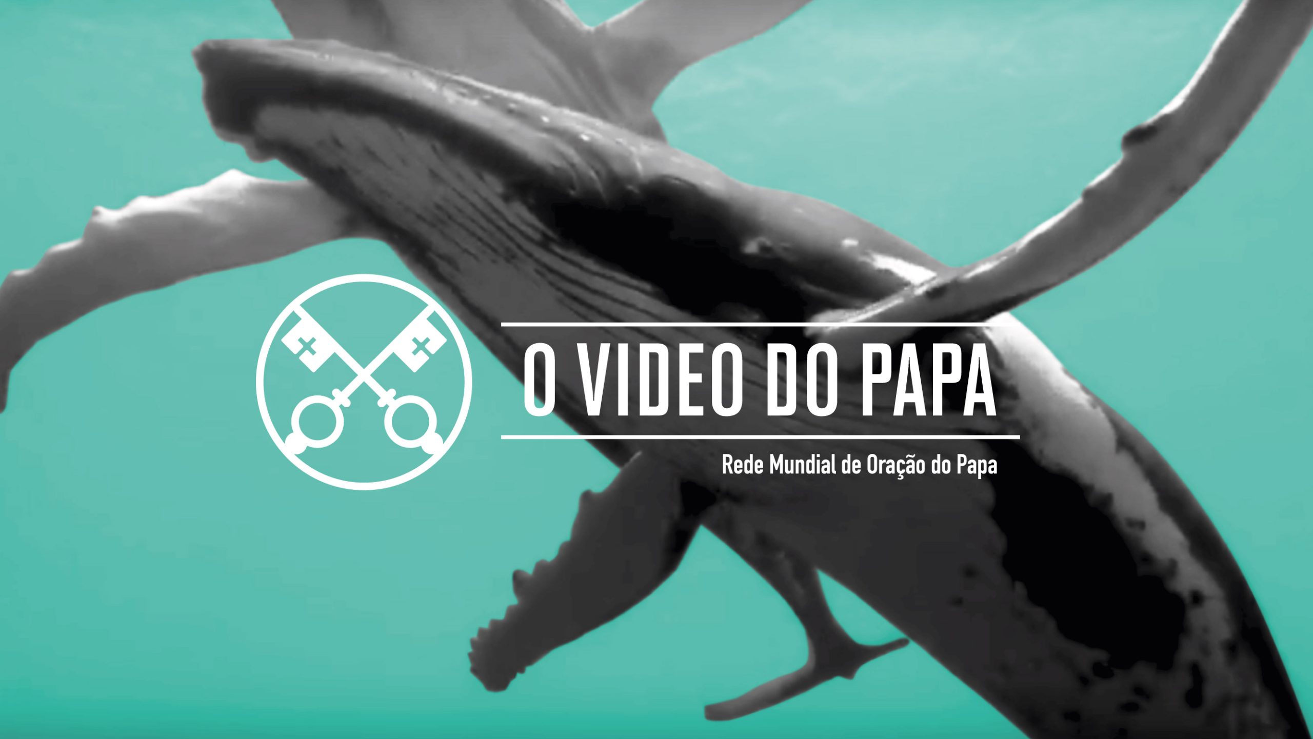 Intenções do Papa para o mês de setembro de 2019