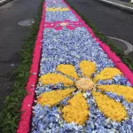 Festa em Honra de Nossa Senhora das Neves