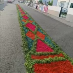 Festa em Honra de Nossa Senhora das Neves
