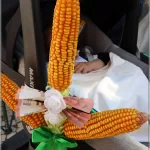 Tradicional Romaria ao Senhor Jesus dos Milagres